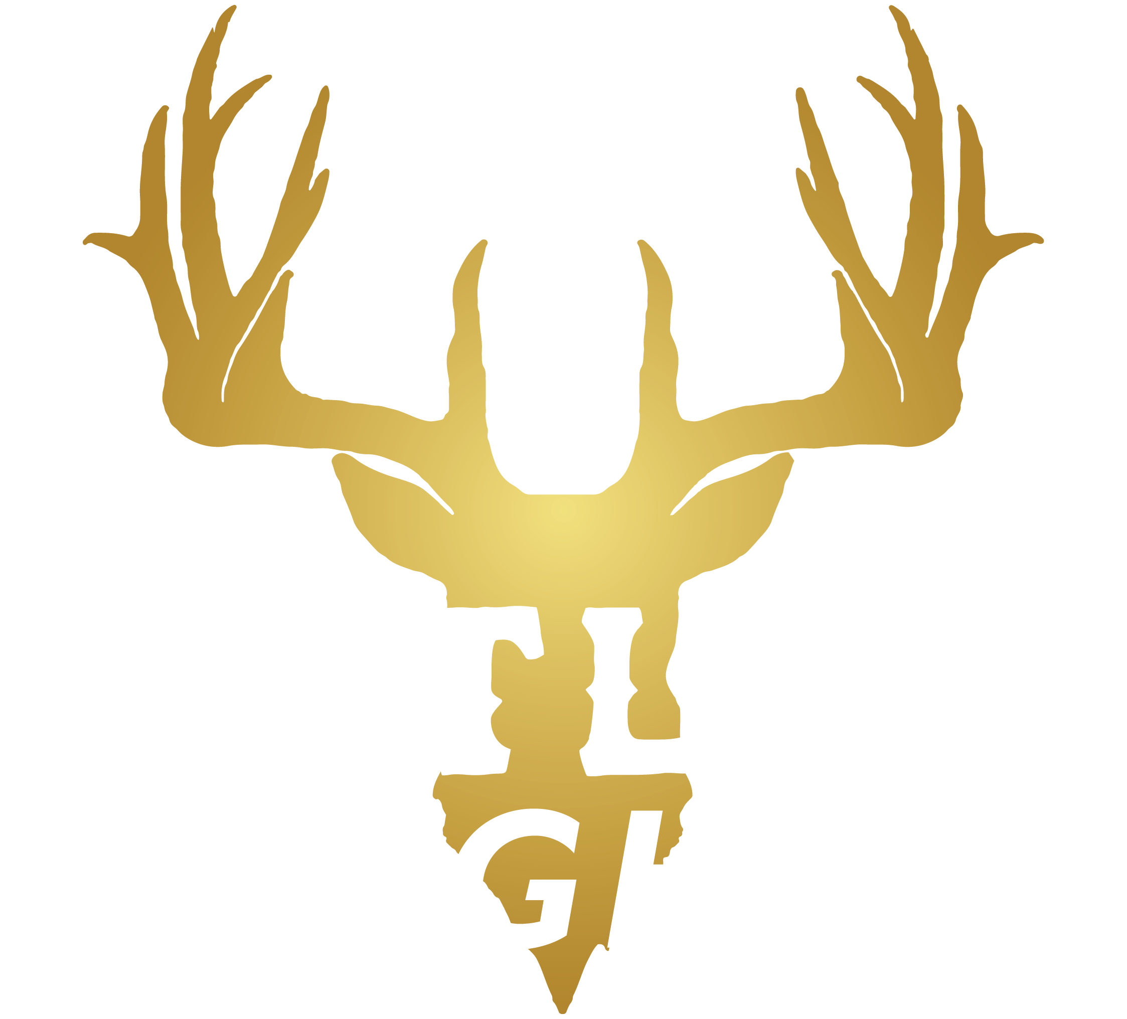 Outlaw Light